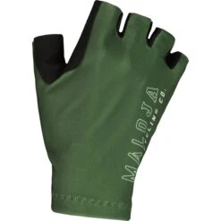 Maloja -Maloja maloja muntanitzm 1495825